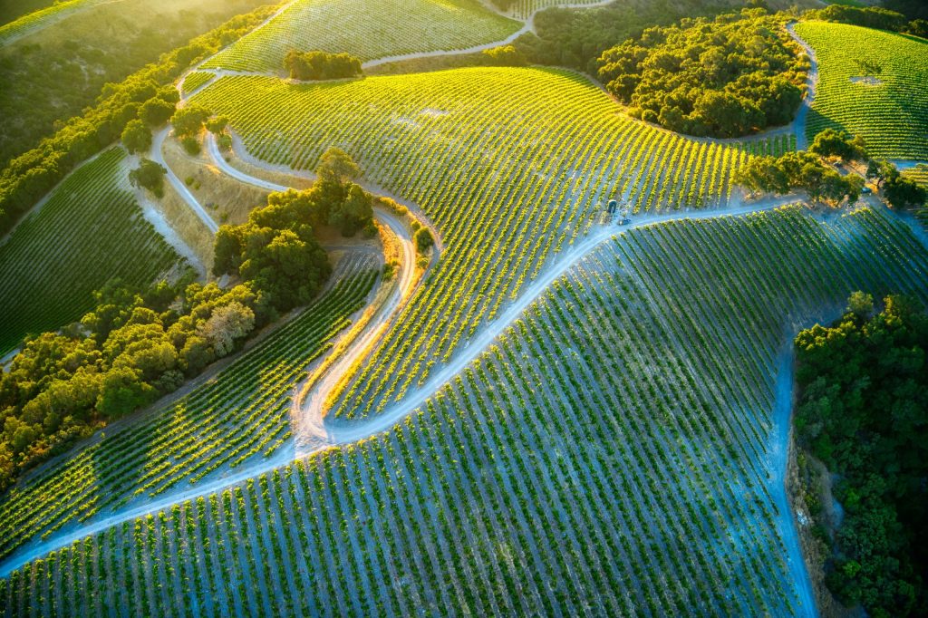 wine regions around Milan