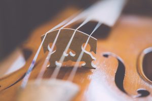 Guarnieri violin
